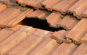 roof repair Belchamp Otten, Essex